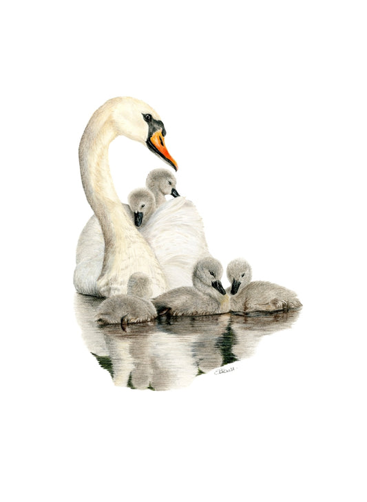 Under Her Wing