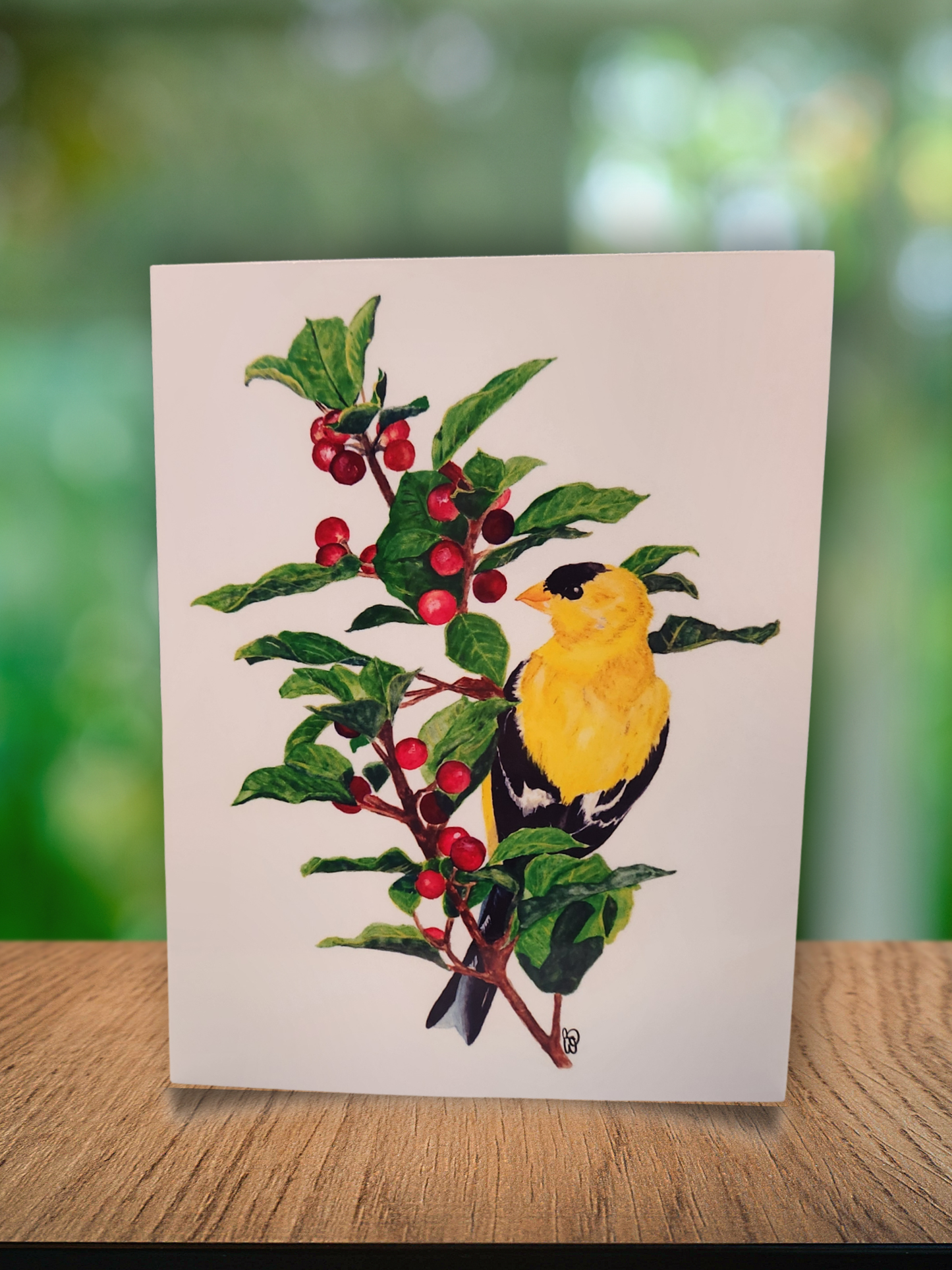 ✨️ Greeting Cards - 3 for $10 🦢✨️