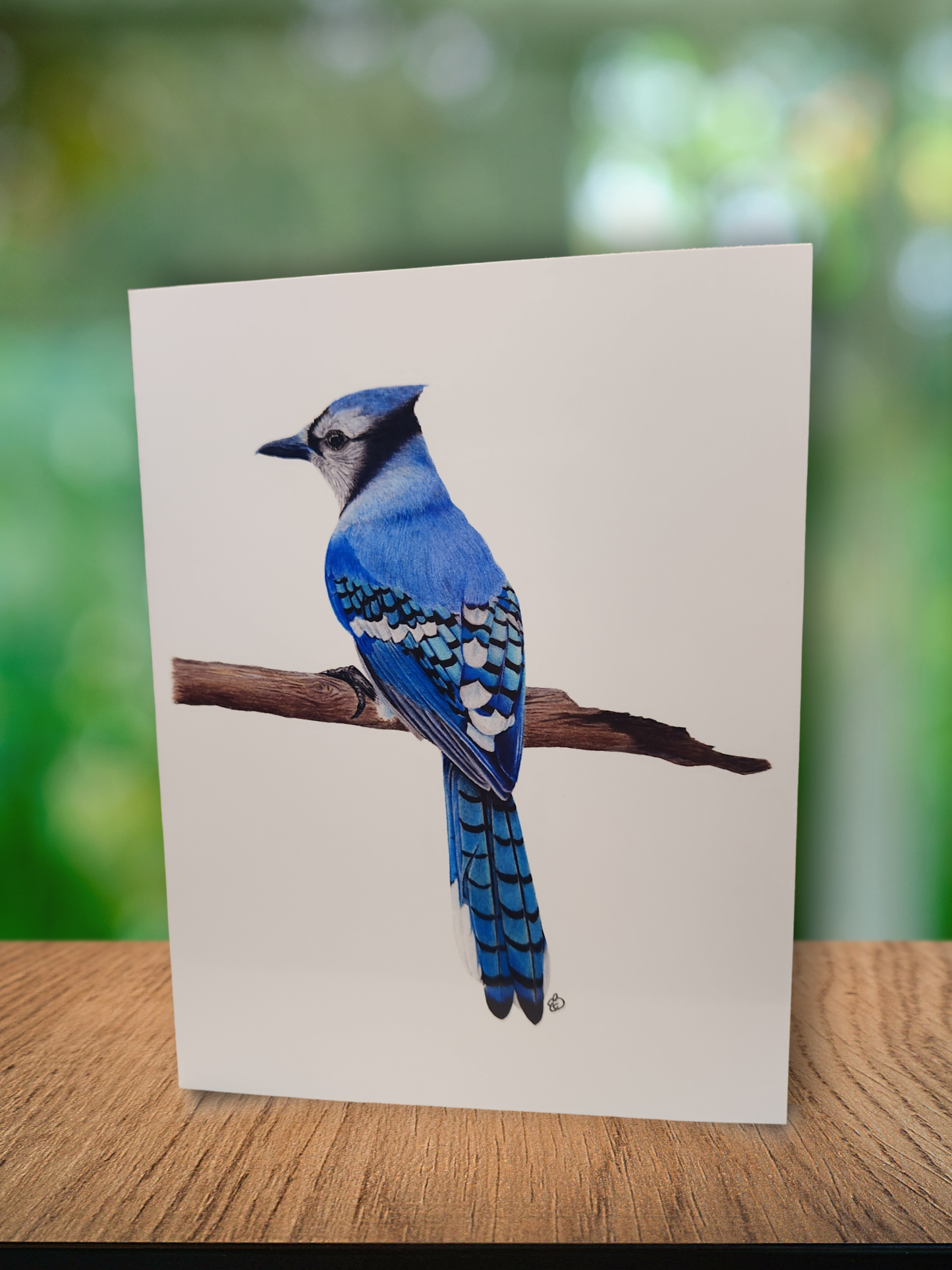 ✨️ Greeting Cards - 3 for $10 🦢✨️