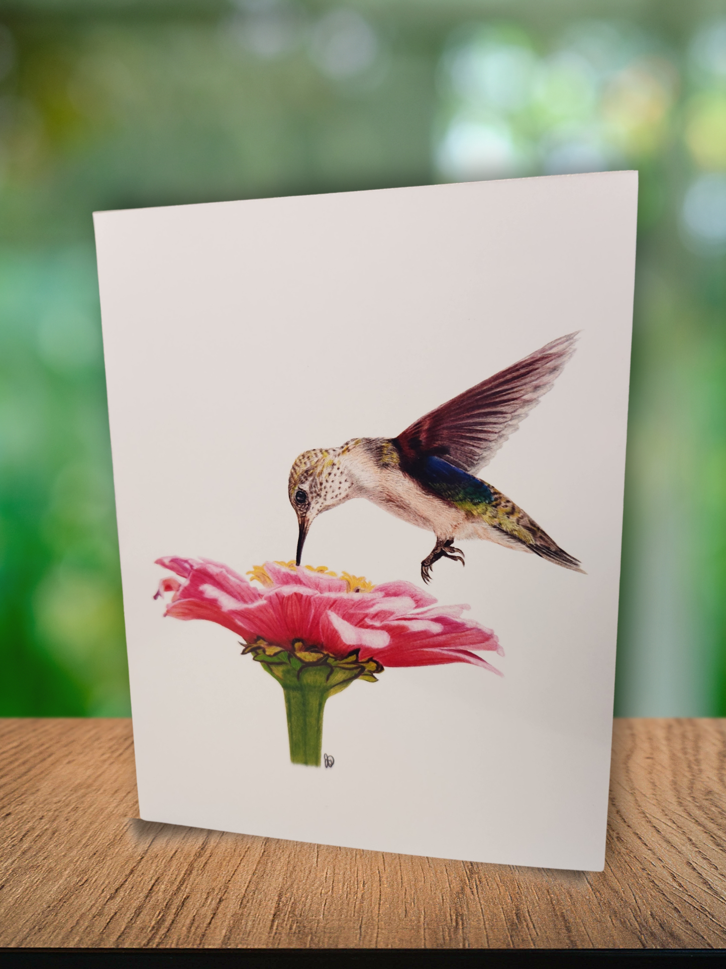 ✨️ Greeting Cards - 3 for $10 🦢✨️