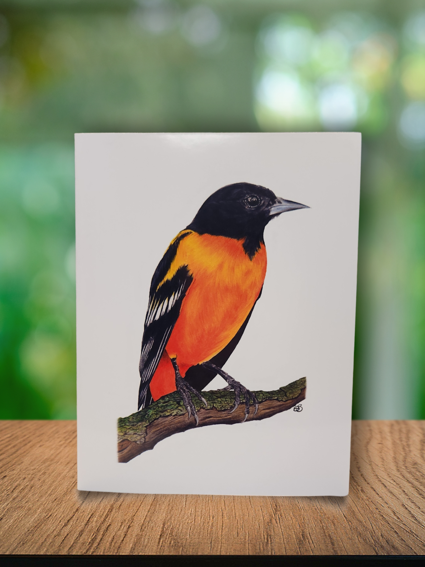 ✨️ Greeting Cards - 3 for $10 🦢✨️