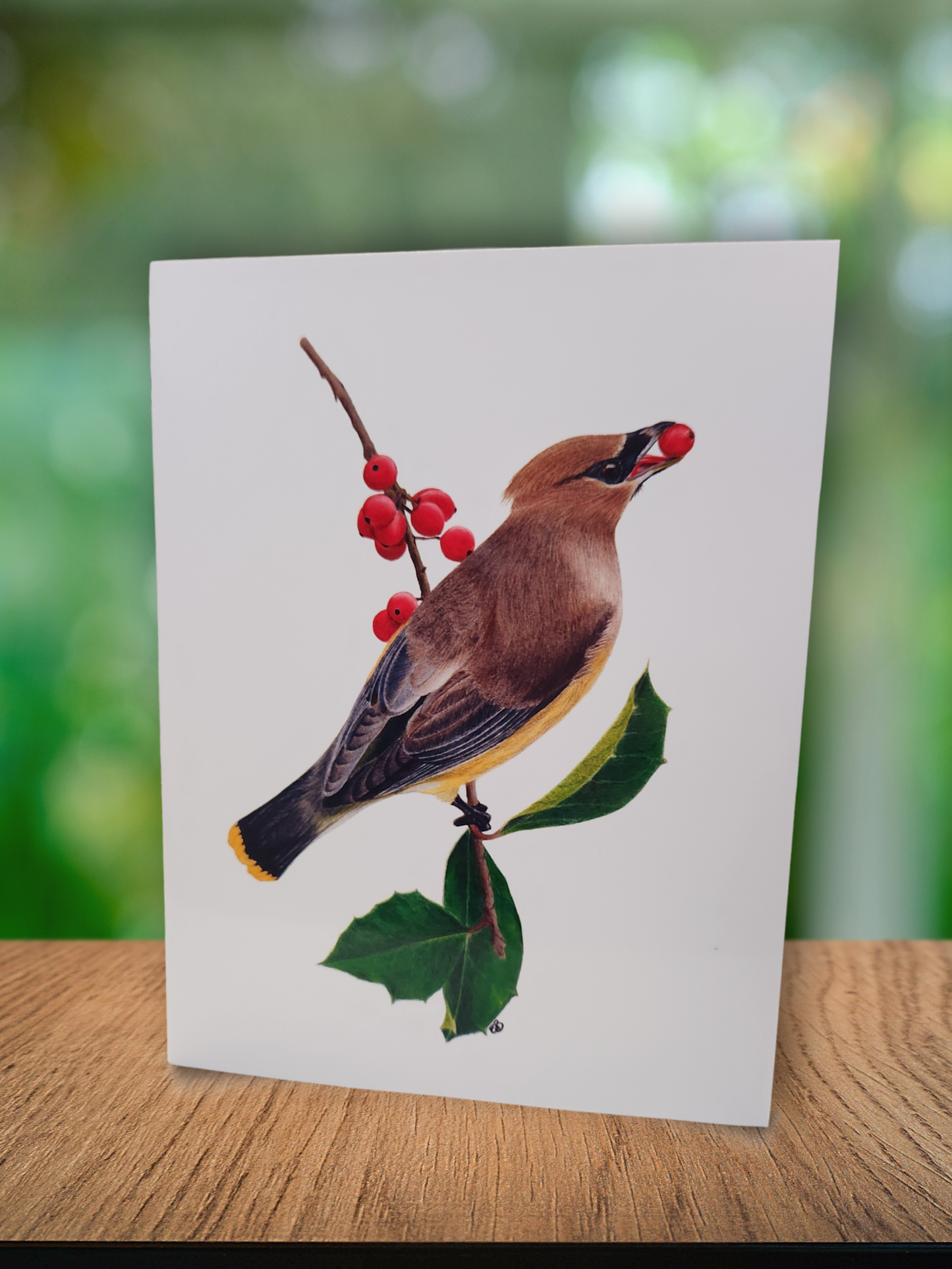 ✨️ Greeting Cards - 3 for $10 🦢✨️