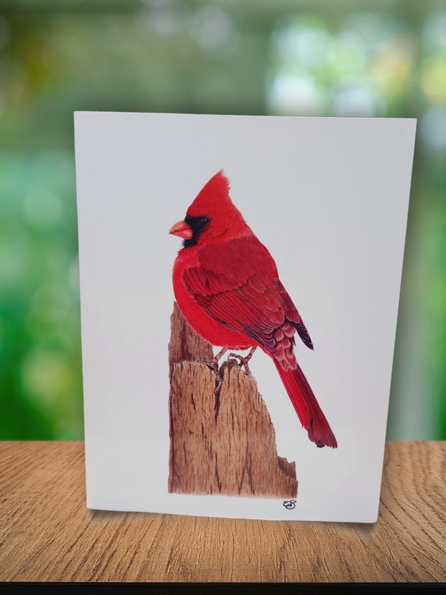 ✨️ Greeting Cards - 3 for $10 🦢✨️