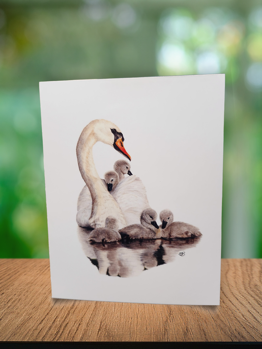 ✨️ Greeting Cards - 3 for $10 🦢✨️